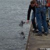 Koeln2014_1 (16)